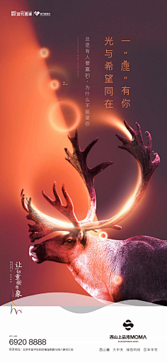 强永前采集到线性