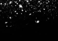 优能设计施采集到雪花