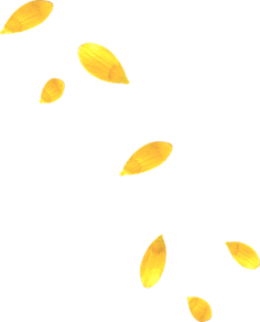 漓季采集到素材