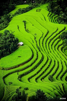 南栀惜沫采集到素材◈自然风光背景