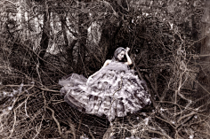 湖畔阴影采集到克里斯蒂·米切尔(Kirsty Mitchell),英国摄影师