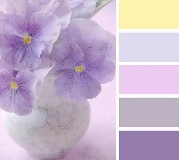 配色-花瓣网|陪你做生活的设计师 | 渐变配色|色卡