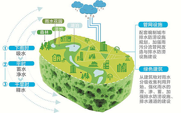 海綿城市示意圖讓你全面瞭解海綿城市