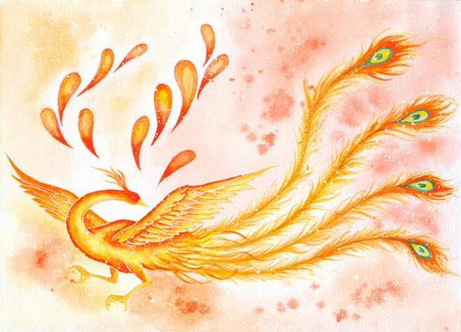 凤凰-花瓣网|陪你做生活的设计师 | 凤凰羽毛