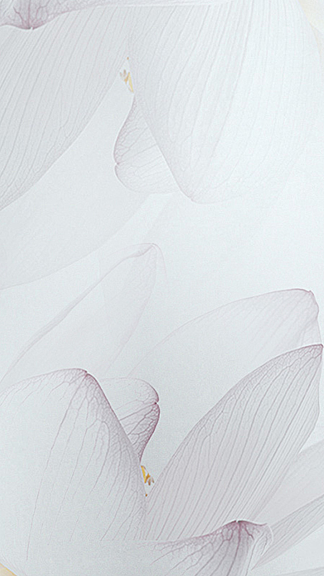 急急如率令-b38463126b- _t201937 _背景 肌理 #率叶插件,让花瓣网更 