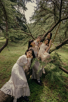 L-智-lo采集到美人各有所爱