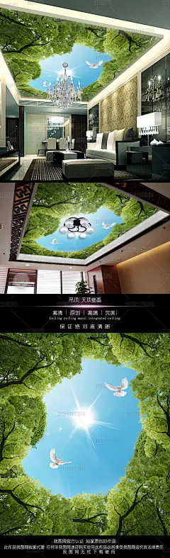 高清鸽子树林的天空天顶画