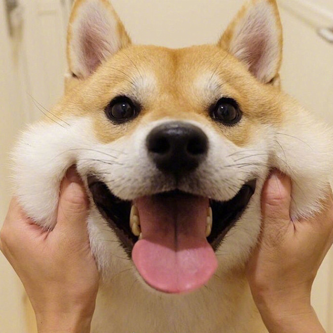 开心一点笑一笑吧祝你一天好心情啊67676767