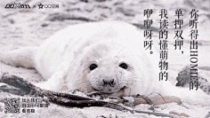 棉大花儿采集到平面设计-gif