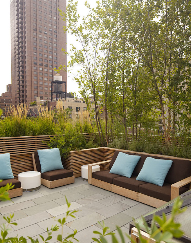木沙发观赏草私家屋顶花园享受空间carnegiehillhouse