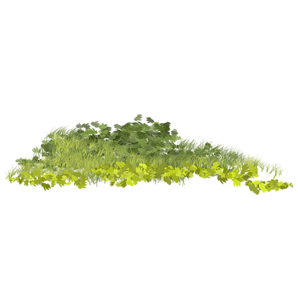 手绘草地