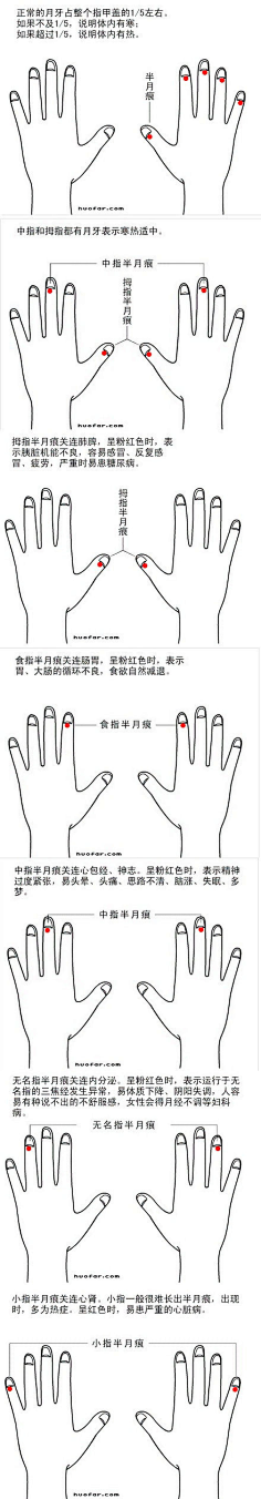 邵老板哟采集到我要成为肌肉男!