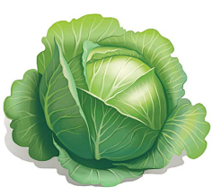 尺子还是三十厘米采集到食物
