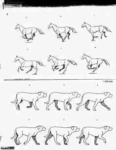 狗走路运动规律图片