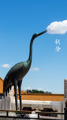 山海RPP采集到C.北京.故宫