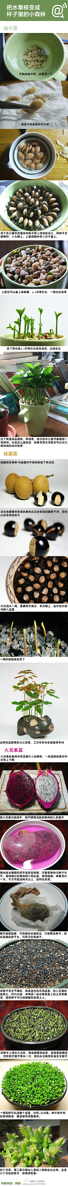 取名字真困难采集到手工