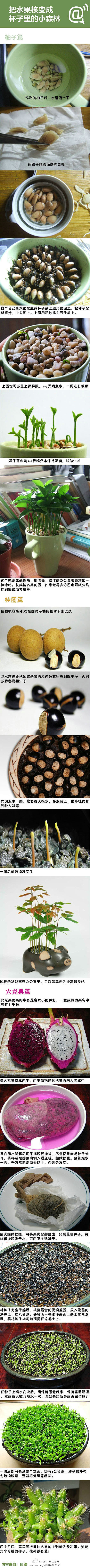 取名字真困难采集到手工