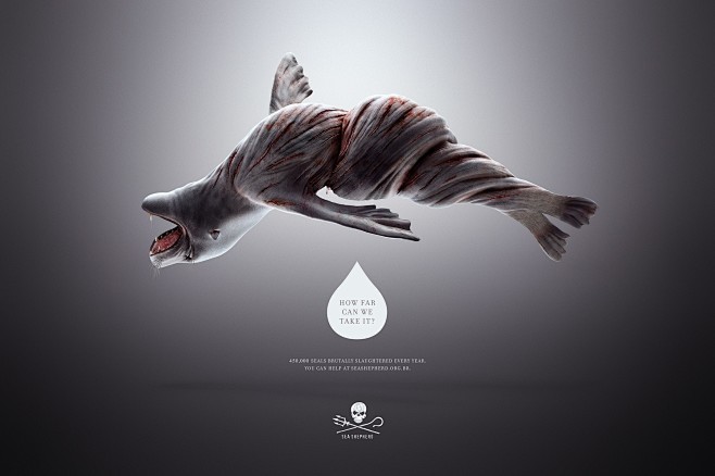 seashepherdtwistedseal