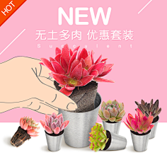 一窝时光采集到电商类作品