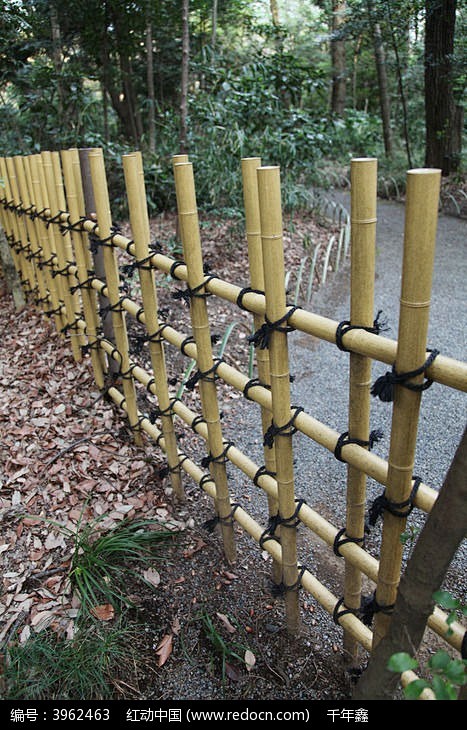 围墙竹篱笆图片