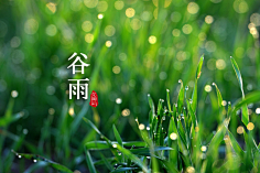 花瓣采集到花瓣说民俗