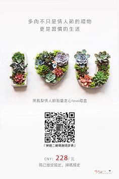 安然若橘_orange采集到多肉王国与疯狂的动物城