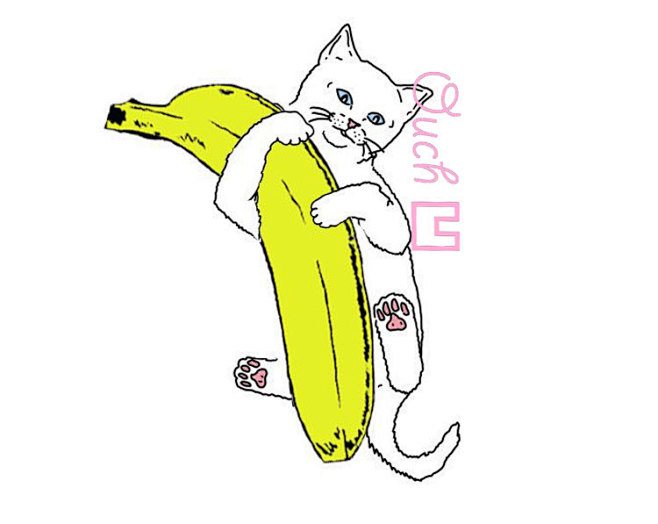 ripndip贱猫抱香蕉t恤nermalbananapockettee黑ripndip