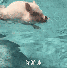 aplooe_王枫采集到那些曾经