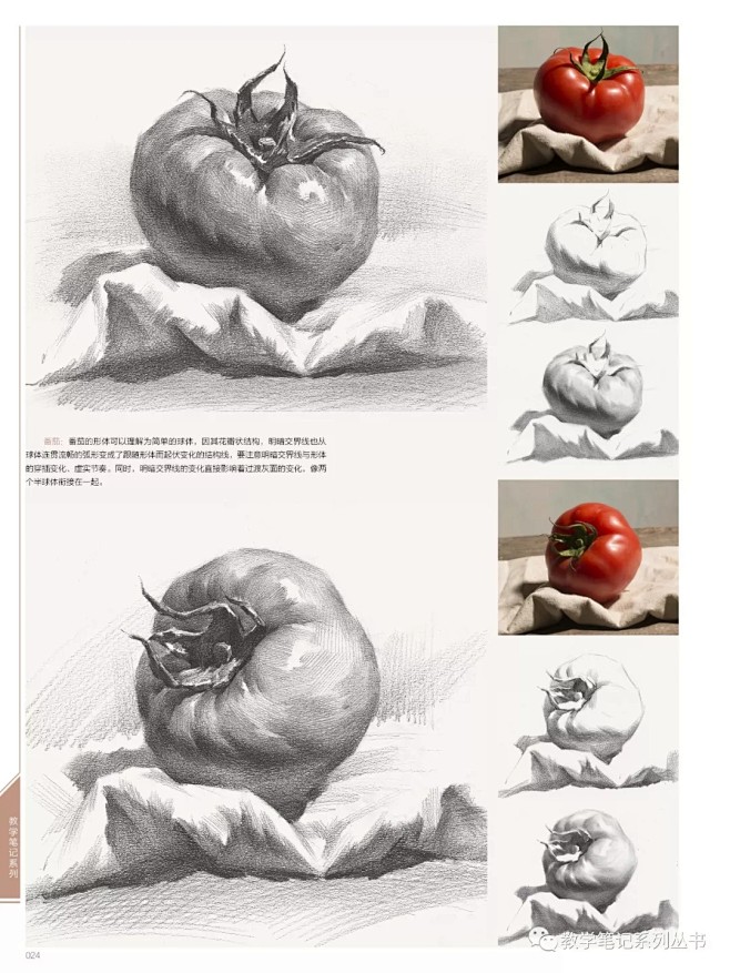 2018鼎盛素描静物范本 教学笔记钟伟安编素描