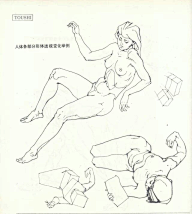 老妇女采集到人体结构