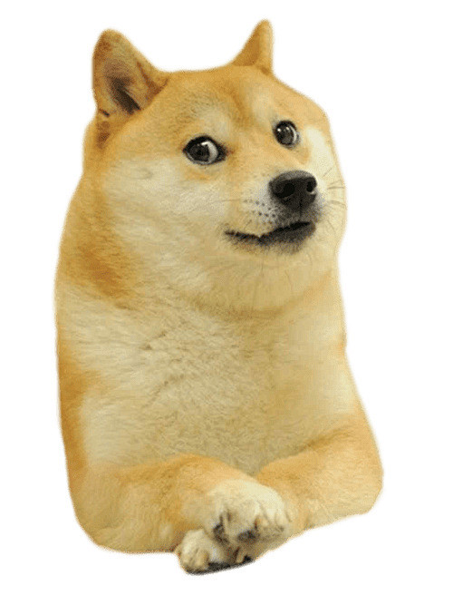 dogedoge图片