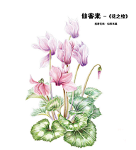 小羊乖乖采集到绘画