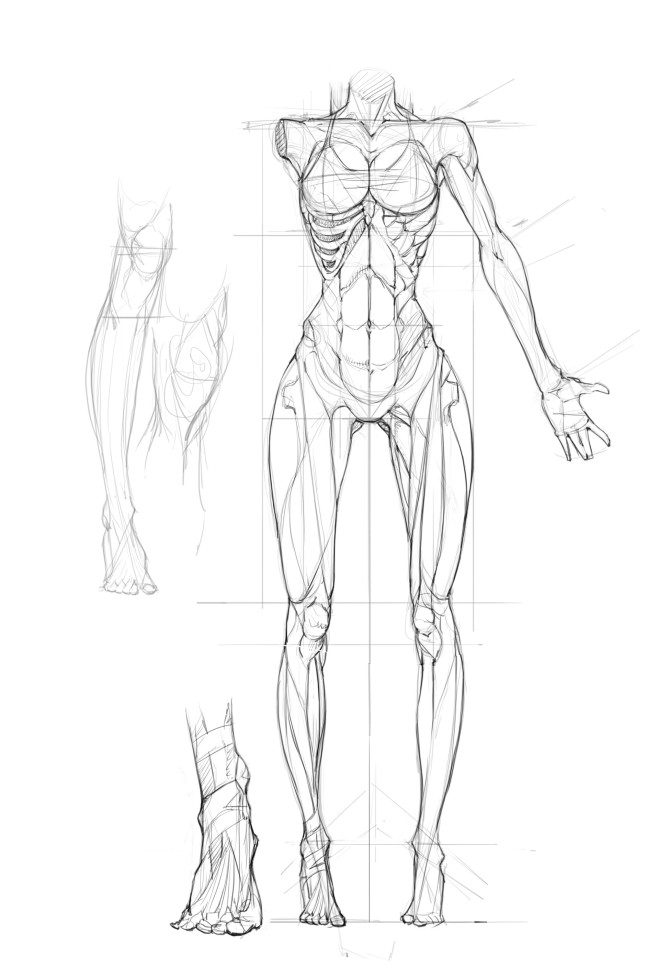 人体动态临摹资料