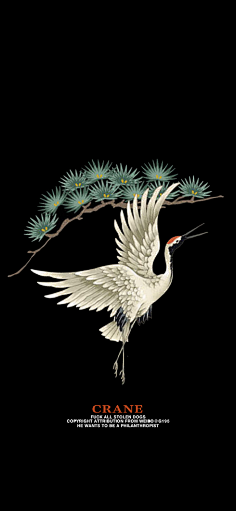 南国的岛采集到插画
