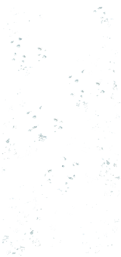 张焱炆采集到水