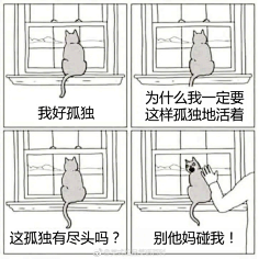 天痕˚:正义的笨蛋采集到好玩的图片