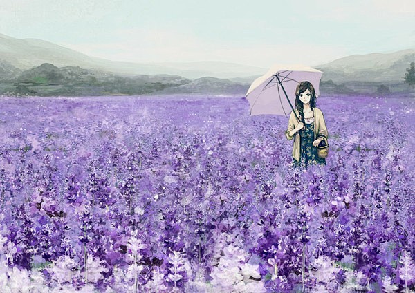 紫色花海古风图片