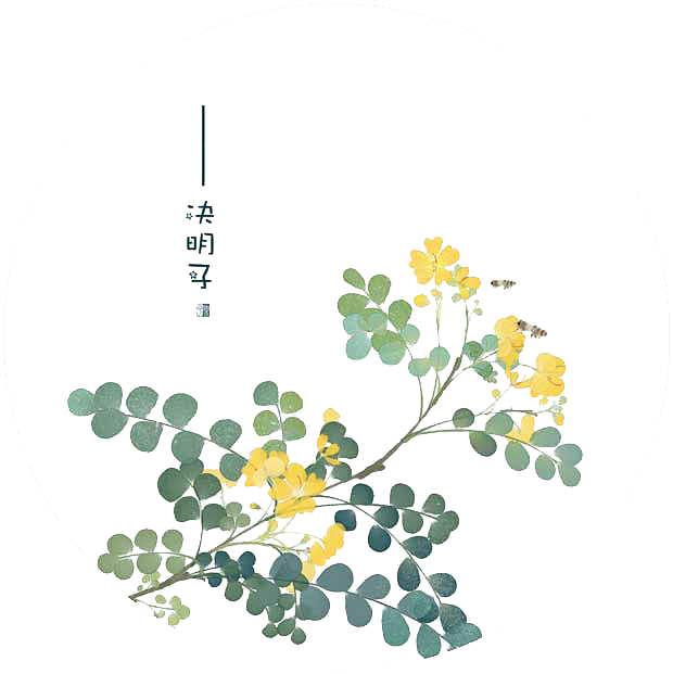 10:01:55决明子中草药愁生§焰椎真该采集也在以下画板加载更多