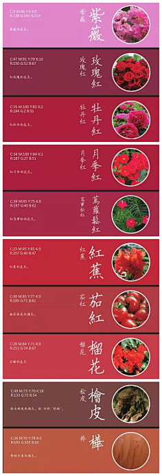 替会采集到色彩