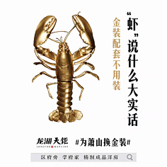 宅腐小妮采集到文案发烧