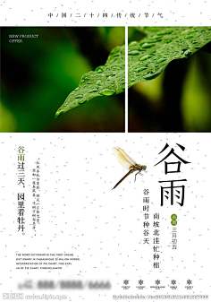 安不渝采集到二十四节气