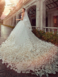 没个合适的昵称采集到婚纱唯美系~