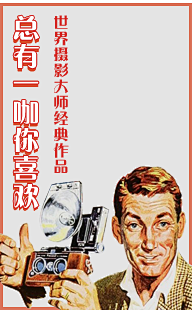 花瓣采集到花瓣专题~
