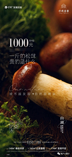 FATTOOC采集到文旅