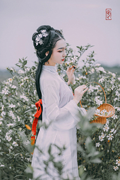 春花落尽·不曾回头采集到素闲吃“香”