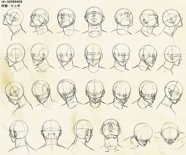 文章人物头部的多角度参考半次元acg同人创作同好社群