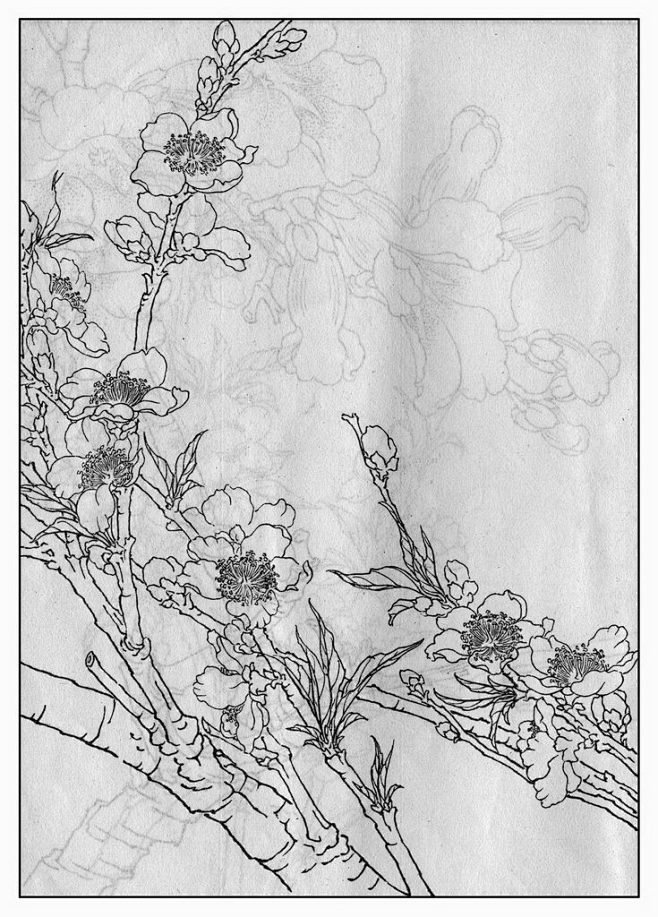 bukn从灵yu转采于2017-01-21 13:45:15山桃手绘bukn该采集也在以下