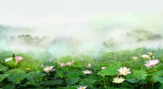 ttskysky采集到风景