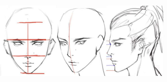 脸部五官正侧脸45侧脸多角度五官结构分析蓝铅笔约课学画就是快
