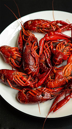 龙虾-花瓣网|陪你做生活的设计师 | 成都也来进口海鲜了